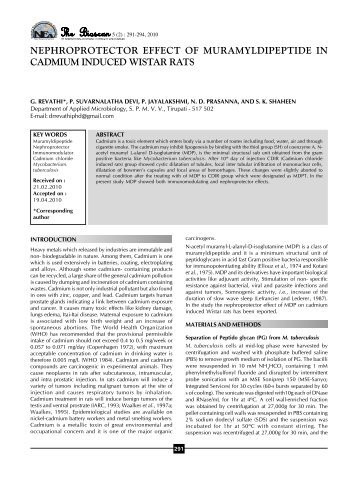 full paper - THE BIOSCAN