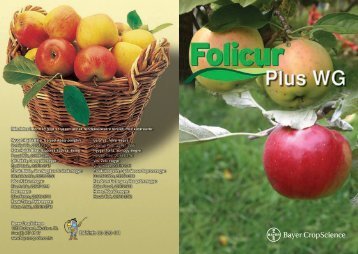 Folicur Plus WG - WEB-SET