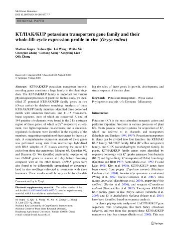 KT/HAK/KUP potassium transporters gene family and their whole-life ...