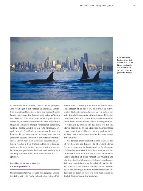 Herunterladen PDF > Kapitel 5 - World Ocean Review