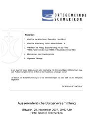 Gutachten und Antrag a.o. BV 28.11.2007 - Ortsgemeinde Schmerikon