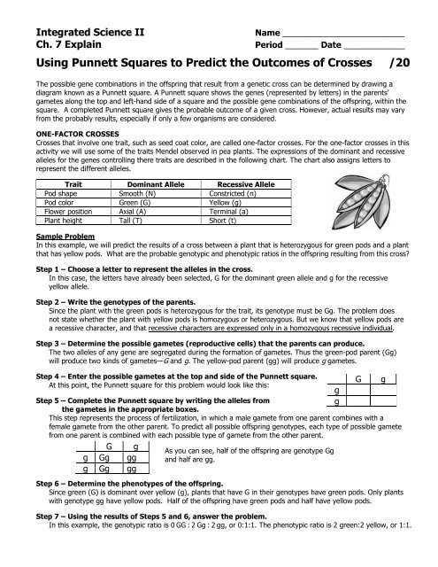 Using Punnett Squares to Predict the Outcomes of Crosses /20