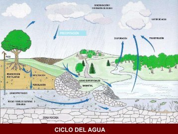 V. MicrobiologÃ­a del agua.pdf - biblioteca upibi