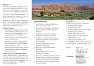 Afghanic-Flyer auf (PDF, 2 S.) - Afghanistan Information Center