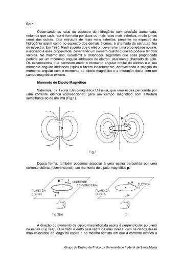 Spin Observando as raias do espectro do hidrogÃªnio com ... - UFSM