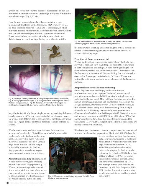 download the PDF here - Amphibian Specialist Group