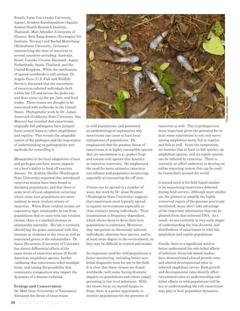 download the PDF here - Amphibian Specialist Group