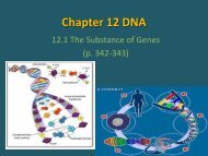 Chapter 12 DNA.pdf