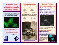 Microbeams at the Columbia University Radiological ... - raraf