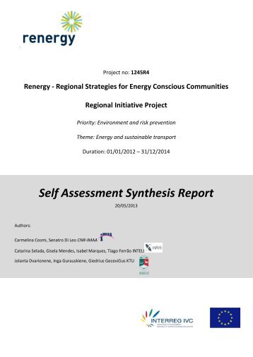 Self Assessment Synthesis Report - inteli