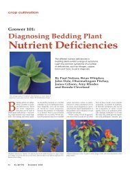 Nutrient Deficiencies - Greenhouse Product News