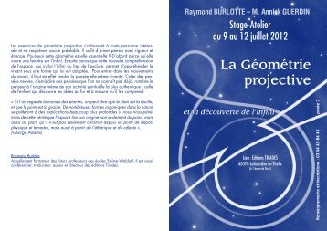 La GÃ©omÃ©trie projective - Editions Triades