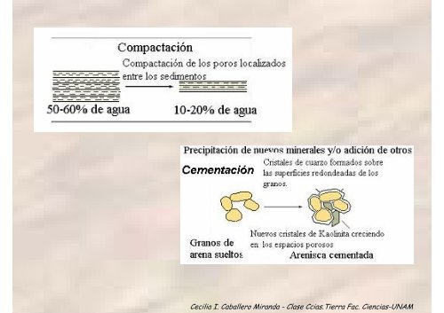 Procesos Sedimentarios