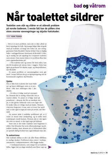 NÃ¥r toalettet sildrer.pdf
