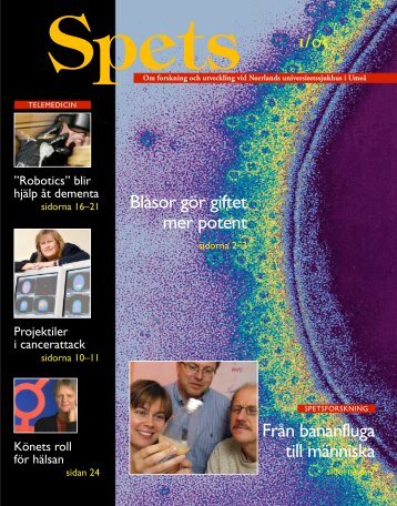 Spets 1-2005 - Medicinsk fakultet - UmeÃ¥ universitet
