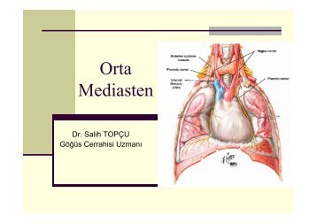 Orta Mediasten