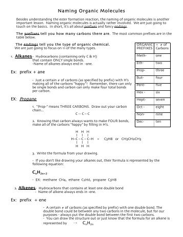 Thanksgiving Organic Assignment