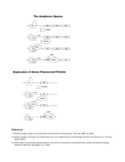 Appendix D Gene Regulation - SLC Home Page