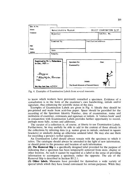 GUIDELINES FOR THE CURATION OF GEOLOGICAL MATERIALS