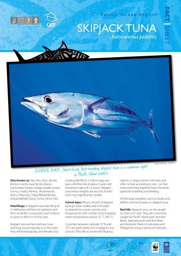 SKIPJACK TUNA