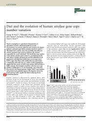 Diet and the evolution of human amylase gene copy number variation