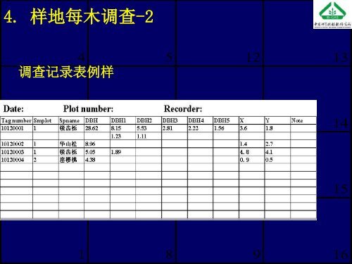 å¤§åæ£®æåºå®æ ·å°å»ºç«æ¹æ³åææ¯ - ä¸­å½æ£®æçç©å¤æ ·æ§çæµç½ç»