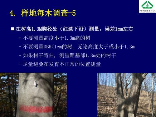 å¤§åæ£®æåºå®æ ·å°å»ºç«æ¹æ³åææ¯ - ä¸­å½æ£®æçç©å¤æ ·æ§çæµç½ç»