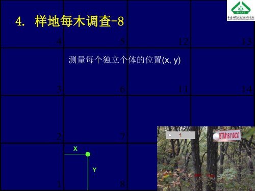 å¤§åæ£®æåºå®æ ·å°å»ºç«æ¹æ³åææ¯ - ä¸­å½æ£®æçç©å¤æ ·æ§çæµç½ç»