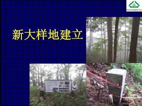 å¤§åæ£®æåºå®æ ·å°å»ºç«æ¹æ³åææ¯ - ä¸­å½æ£®æçç©å¤æ ·æ§çæµç½ç»