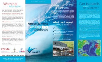 Tsunami Smart Pamphlet