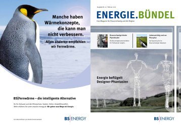 ENERGIE.BÜNDEL - BS Energy