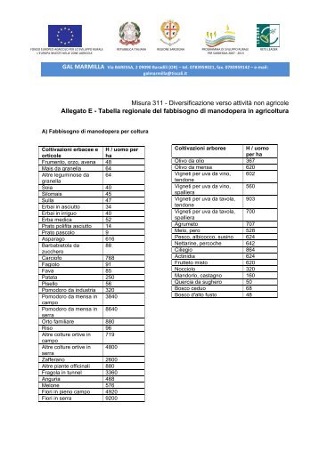 Allegato E - tabella fabbisogno manodopera in ... - Comune di Setzu