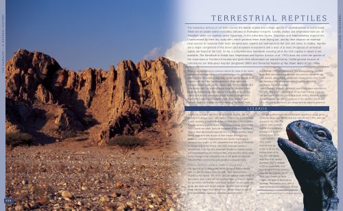 TERRESTRIAL REPTILES - UAE Interact