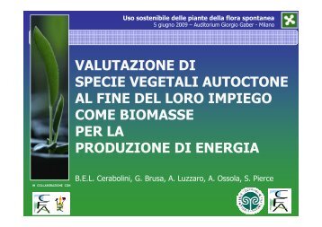 valutazione di specie vegetali autoctone al fine del loro impiego ...
