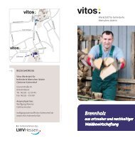 Flyer Brennholz - Vitos Kalmenhof