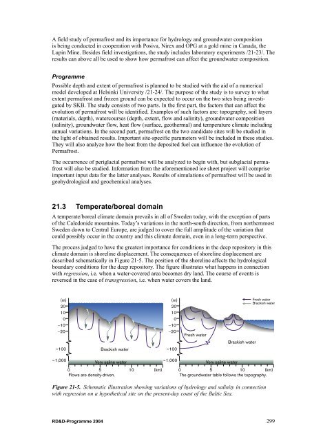 RD&D-Programme 2004 - SKB