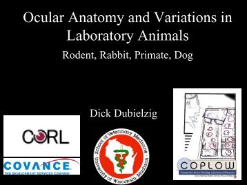 Ocular Anatomy and Variations in Laboratory Animals