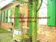 PrÃ¤sentation der Naturschutzstation Zippendorf (PDF)