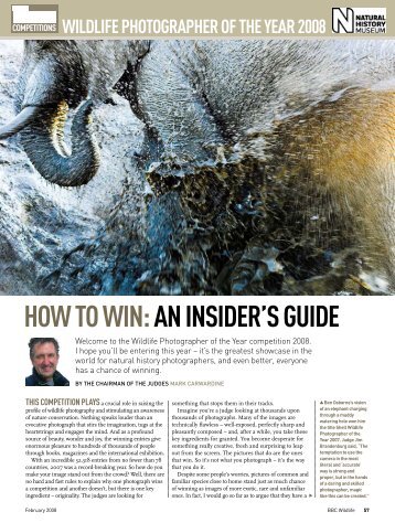 advice on how to win the Wildlife Photographer ... - Mark Carwardine