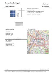 PDF-Report - Vela Solaris AG