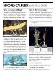 MYCORRHIZAL FUNGI AND FIELD CROPS - Penn State Extension