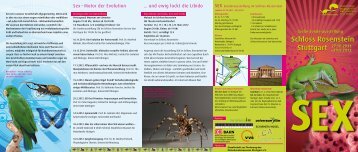 Schloss Rosenstein Stuttgart - Staatliches Museum fÃ¼r Naturkunde ...