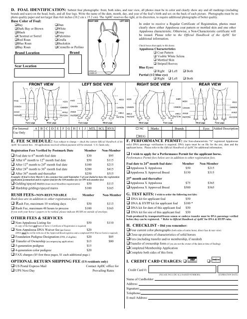 REGISTRATION APPLICATION - Appaloosa Horse Club