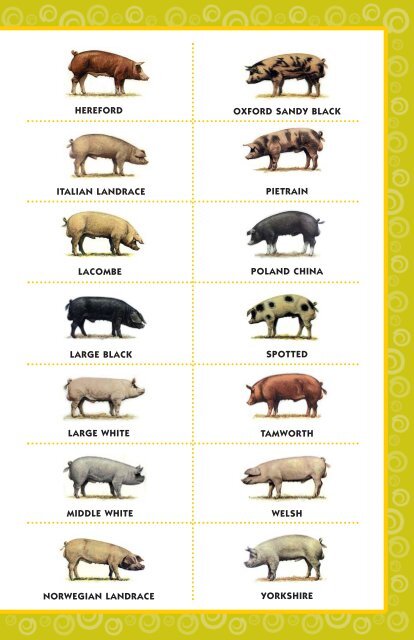 Pig Tales Fun Book - Ontario Pork