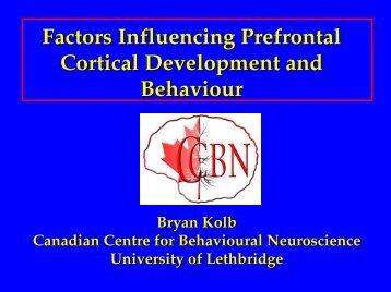 Bryan Kolb: Factors influencing Prefrontal Cortical Development and ...