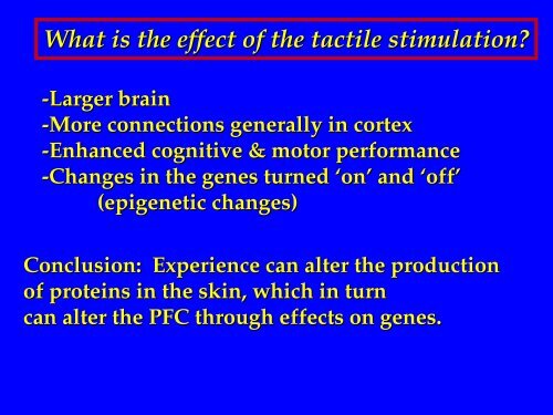 Bryan Kolb: Factors influencing Prefrontal Cortical Development and ...