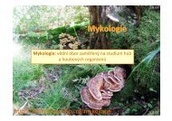 mykologie-úvod