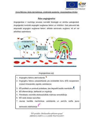 Ädas angioÄ£enÄze un terapija - Biofotonikas pÄtÄ«jumu grupa ...