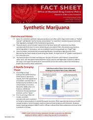 Synthetic Marijuana fact sheet - The White House