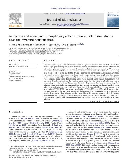 Activation and aponeurosis morphology affect in vivo muscle tissue ...